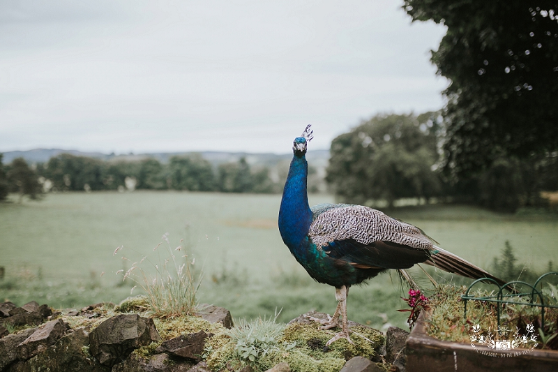 Tullibole Castle wedding