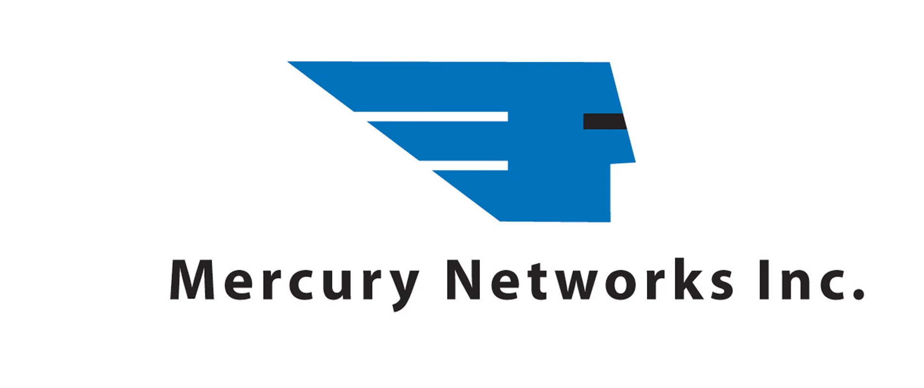Mercury Networks2.jpg