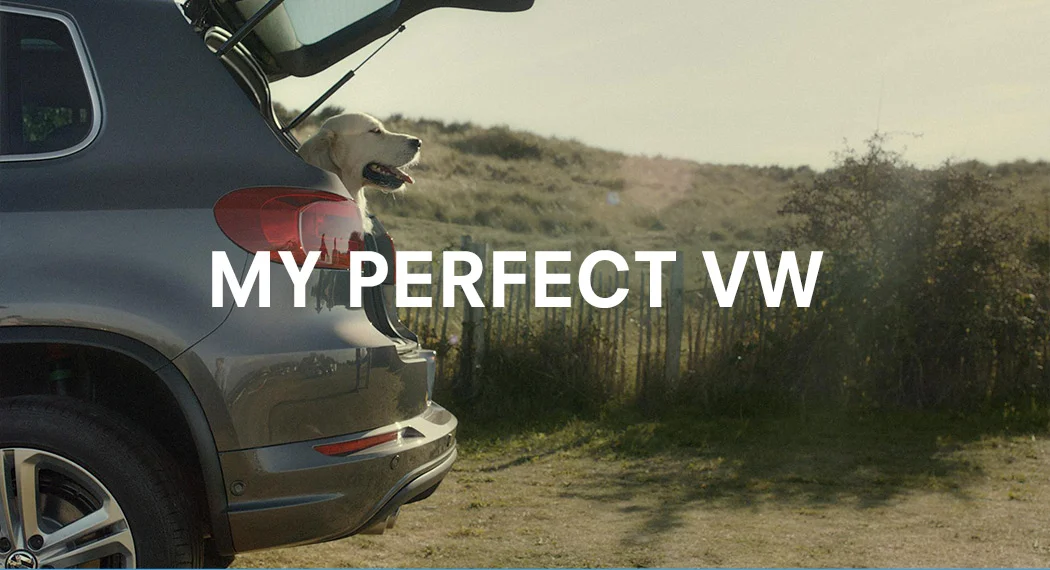 My-perfect_01.jpg