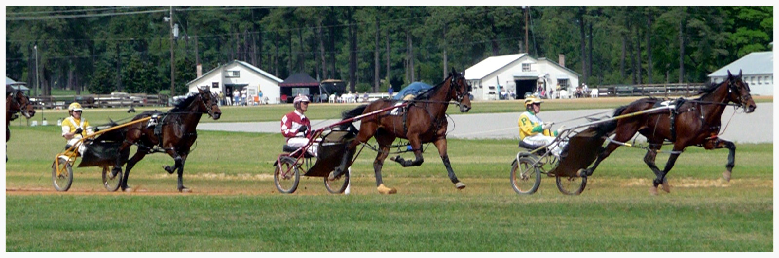 Events — Foundation Equine Clinic