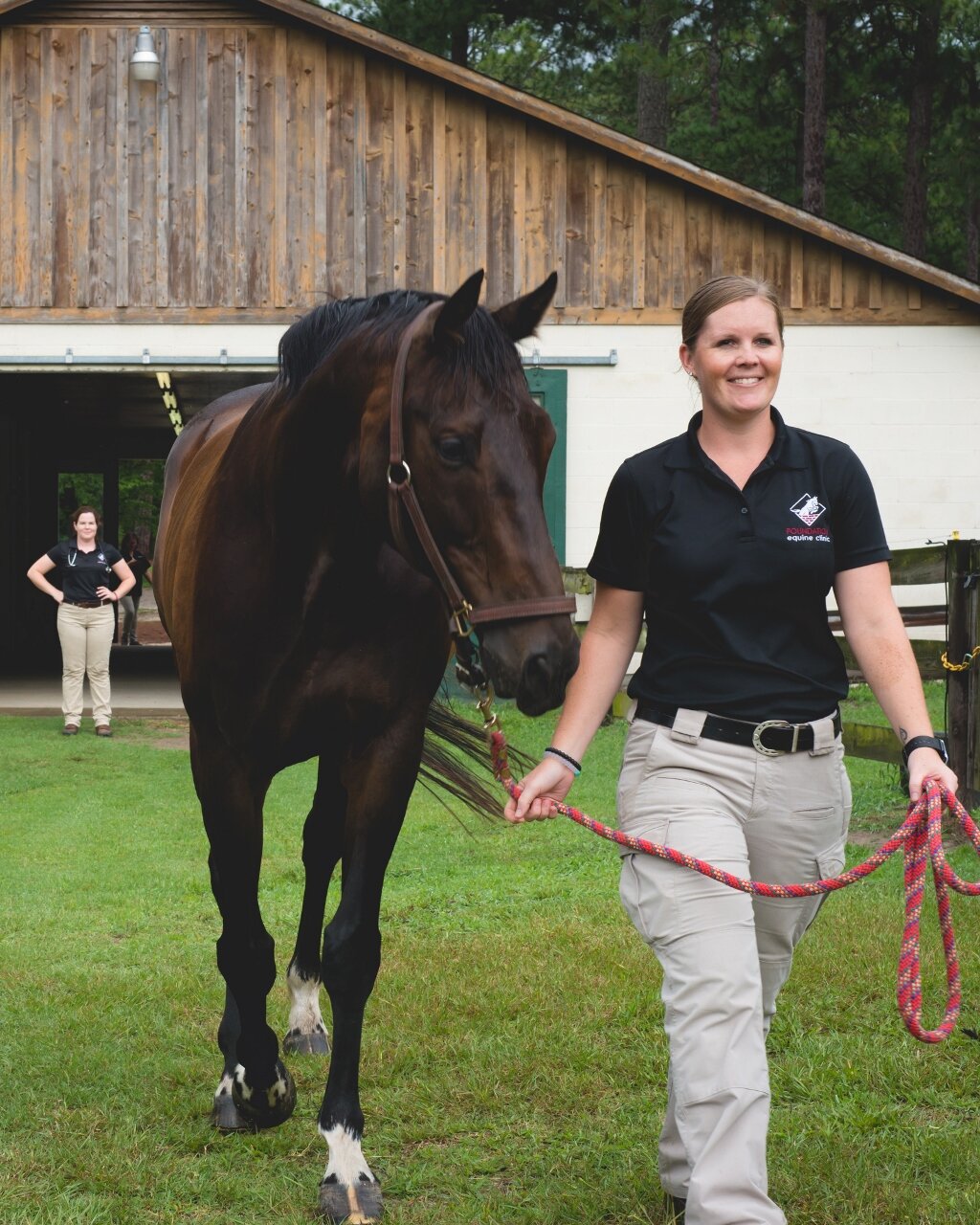 Foundation Equine Clinic Southern Pines, NC BoardCertified Equine