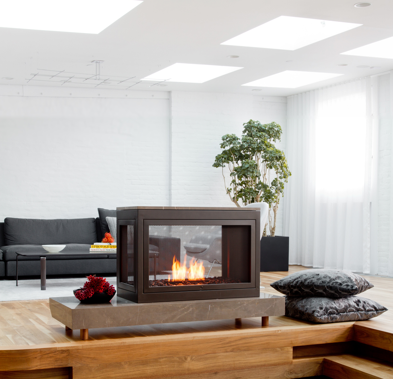  Custom 3-sided HearthCabinet Ventless Fireplace, finished in custom powder coated steel | Designer: Marie Aiello Design Studio, LLC | Architect: TODO Design &amp; Architecture &nbsp; 