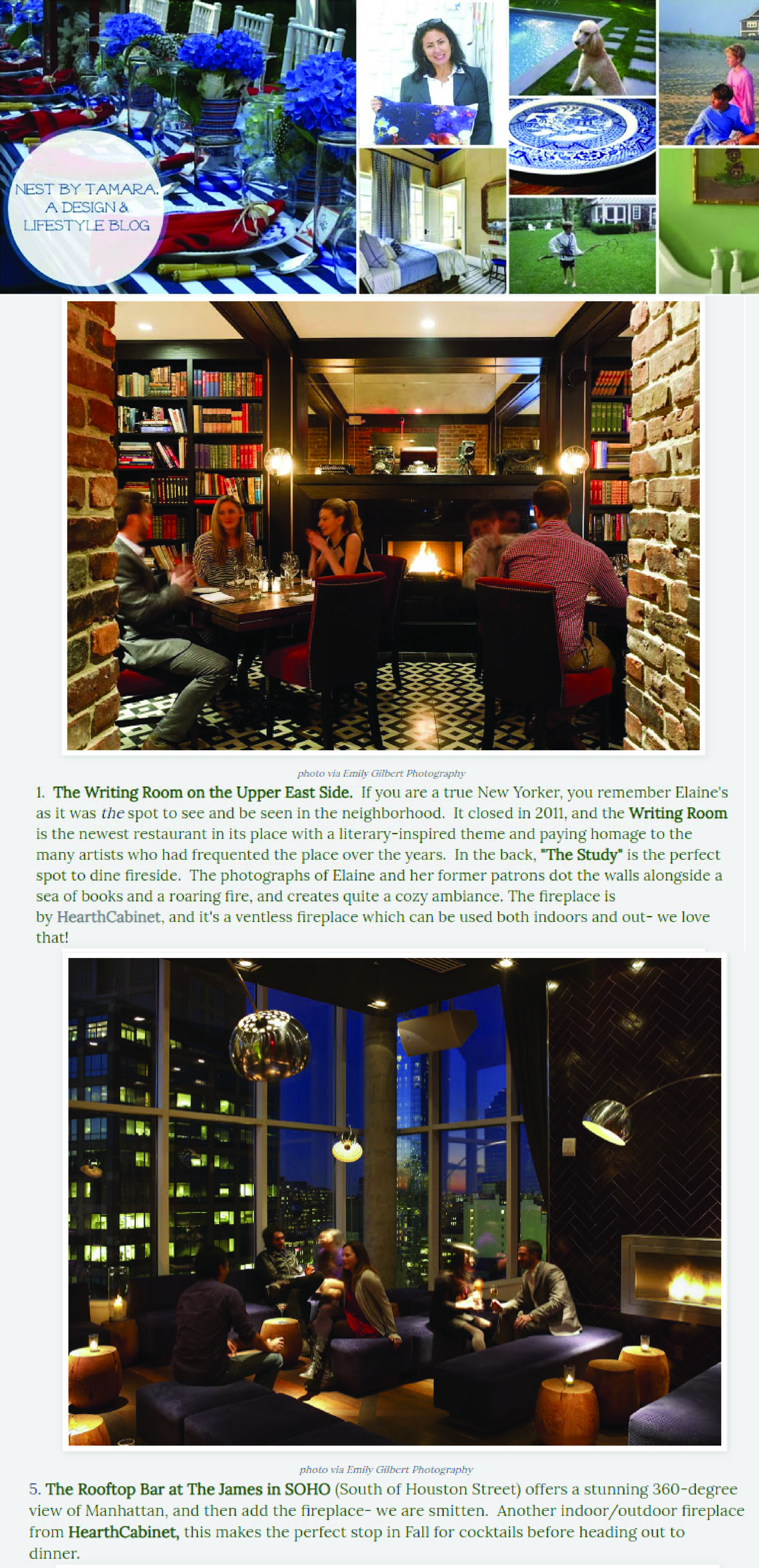 Nest by Tamara Blog Post.jpg