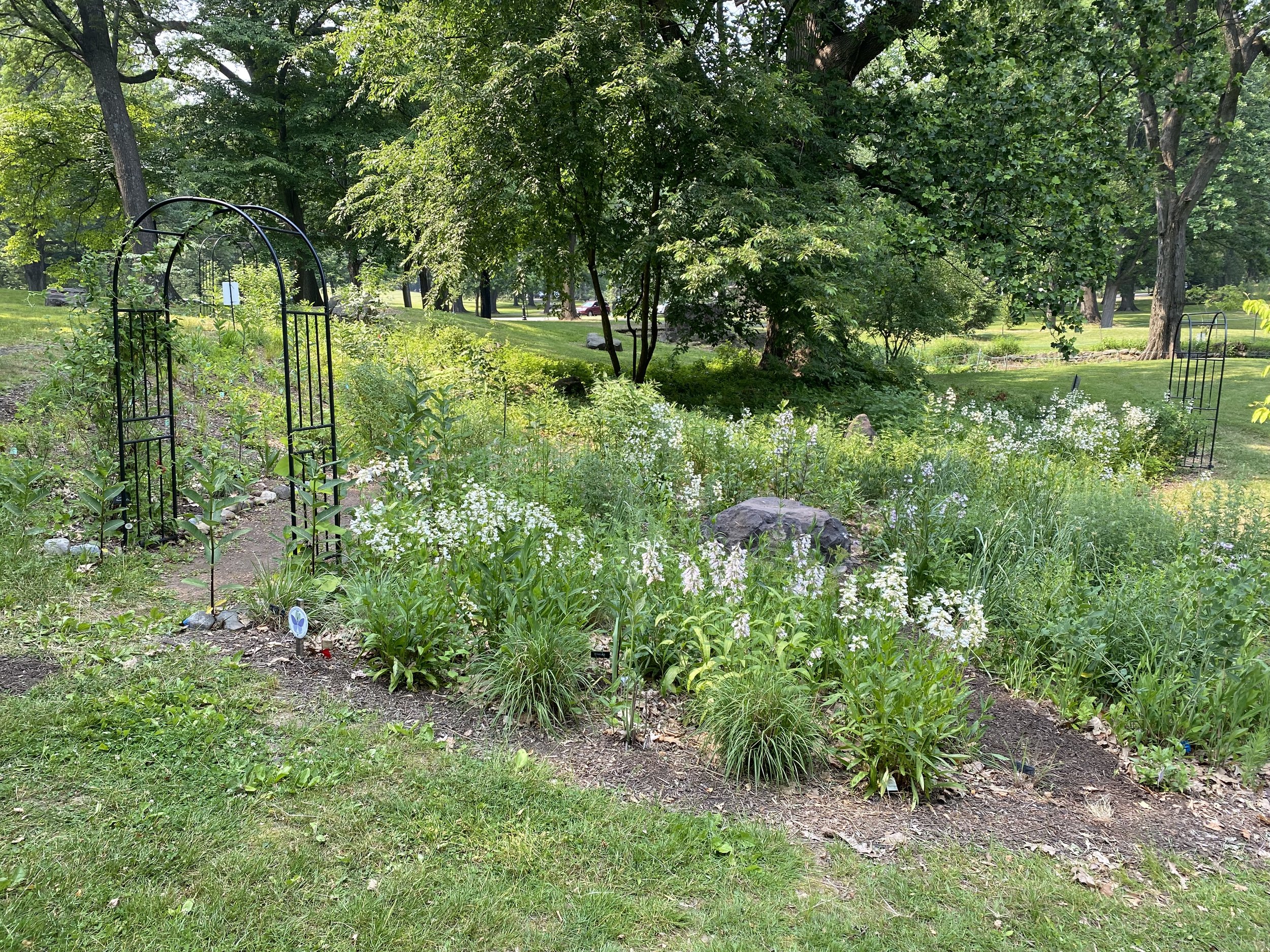 Pollinator Garden Party