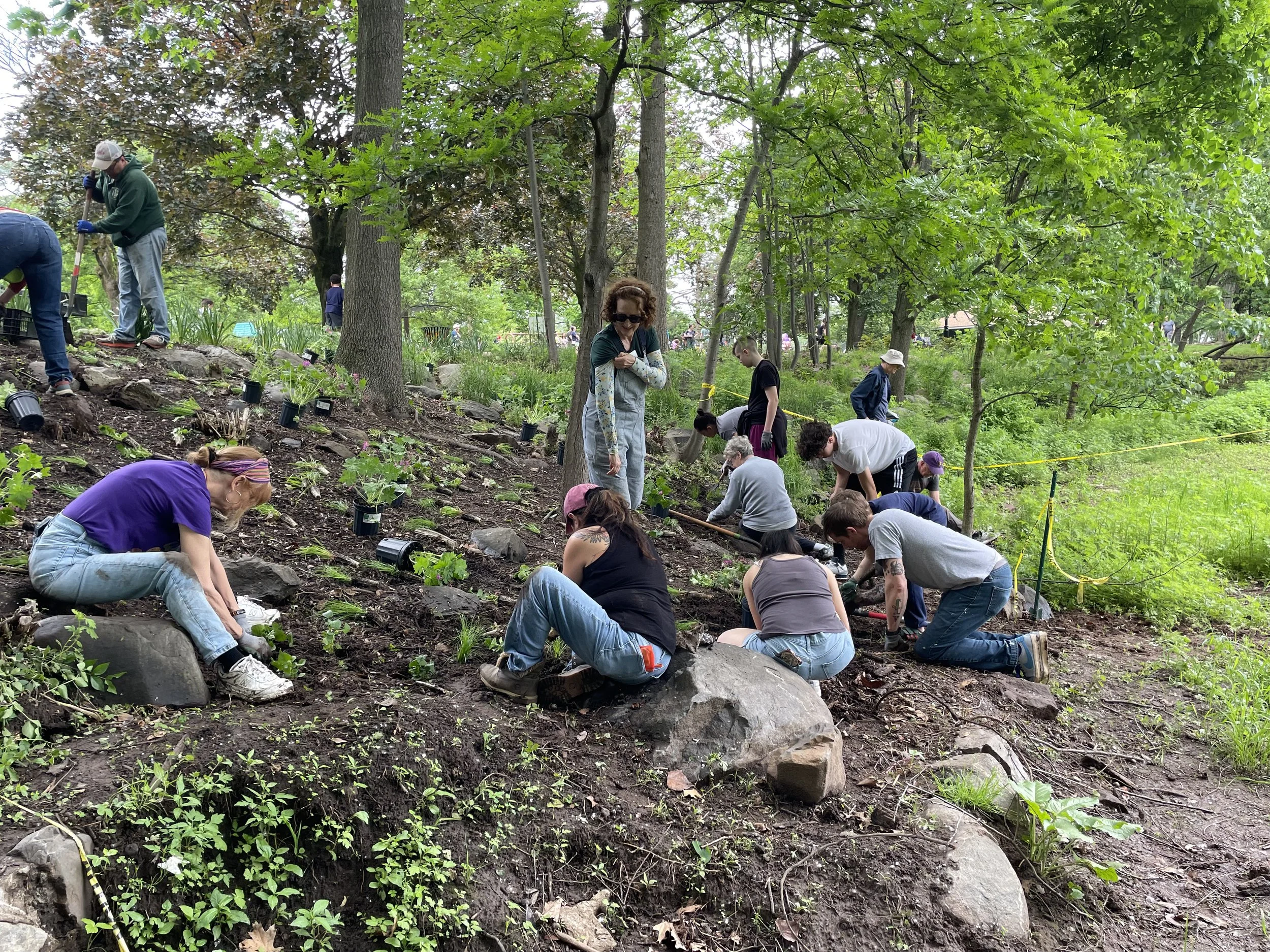 Community Volunteer Day