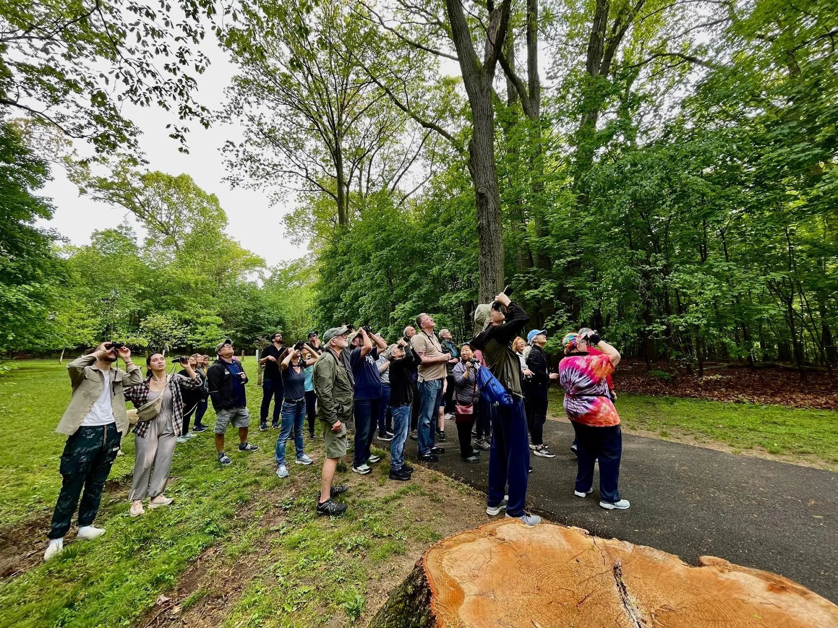 Bird Walk