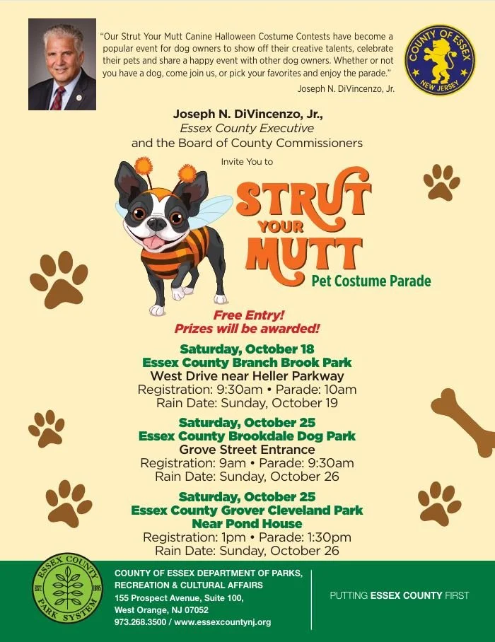 Strut Your Mutt