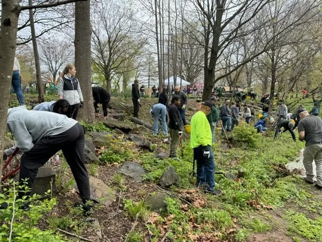 Community Volunteer Day