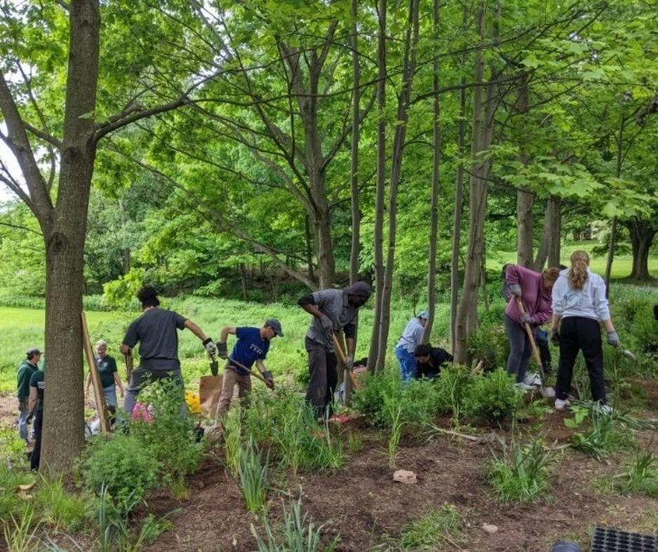 Community Volunteer Day