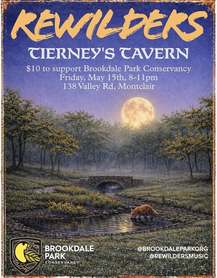 Rewilders @ Tierney's Tavern