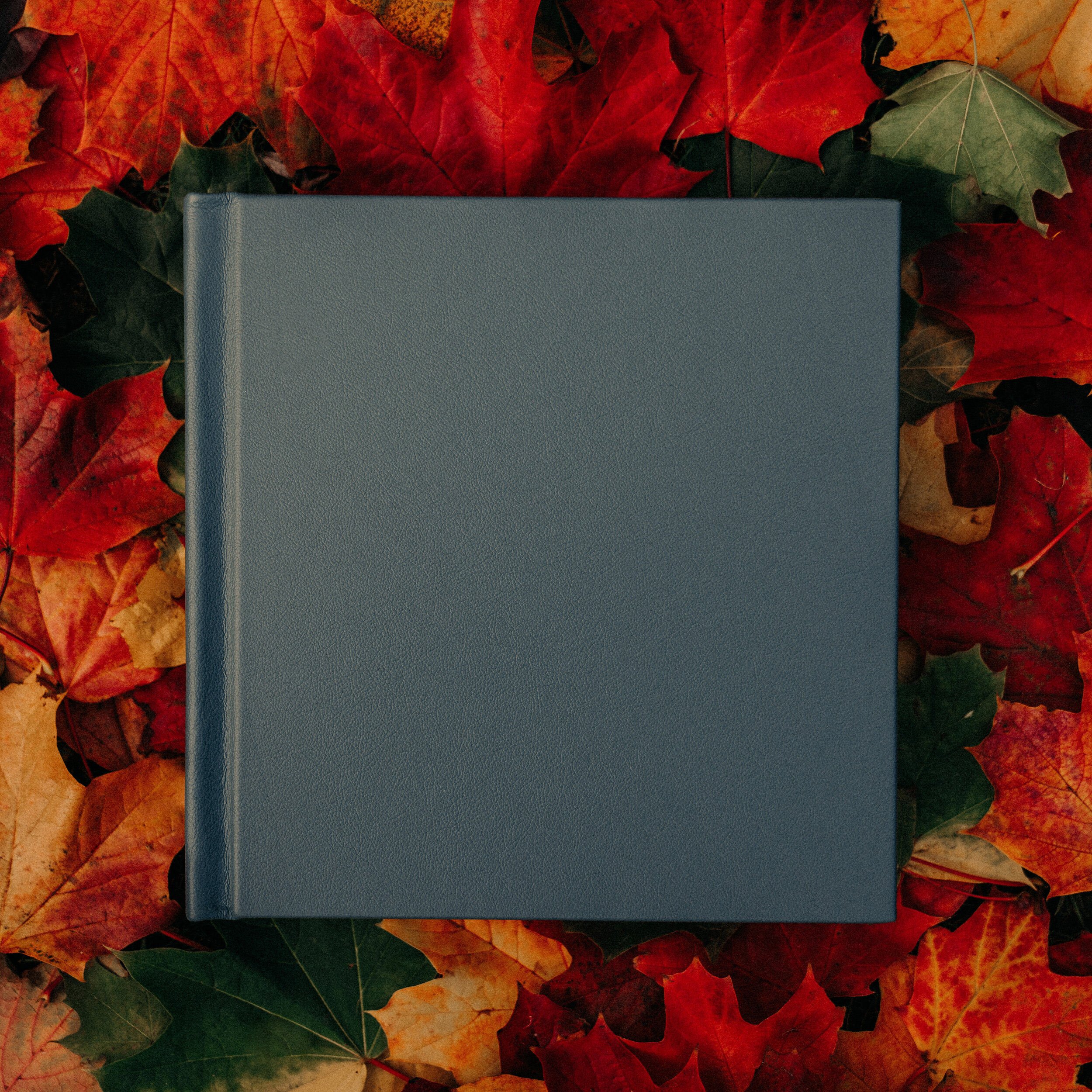 10 X 10 ALBUM