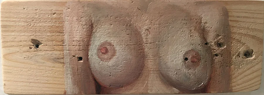 breasts_8x24_enricsant.jpg
