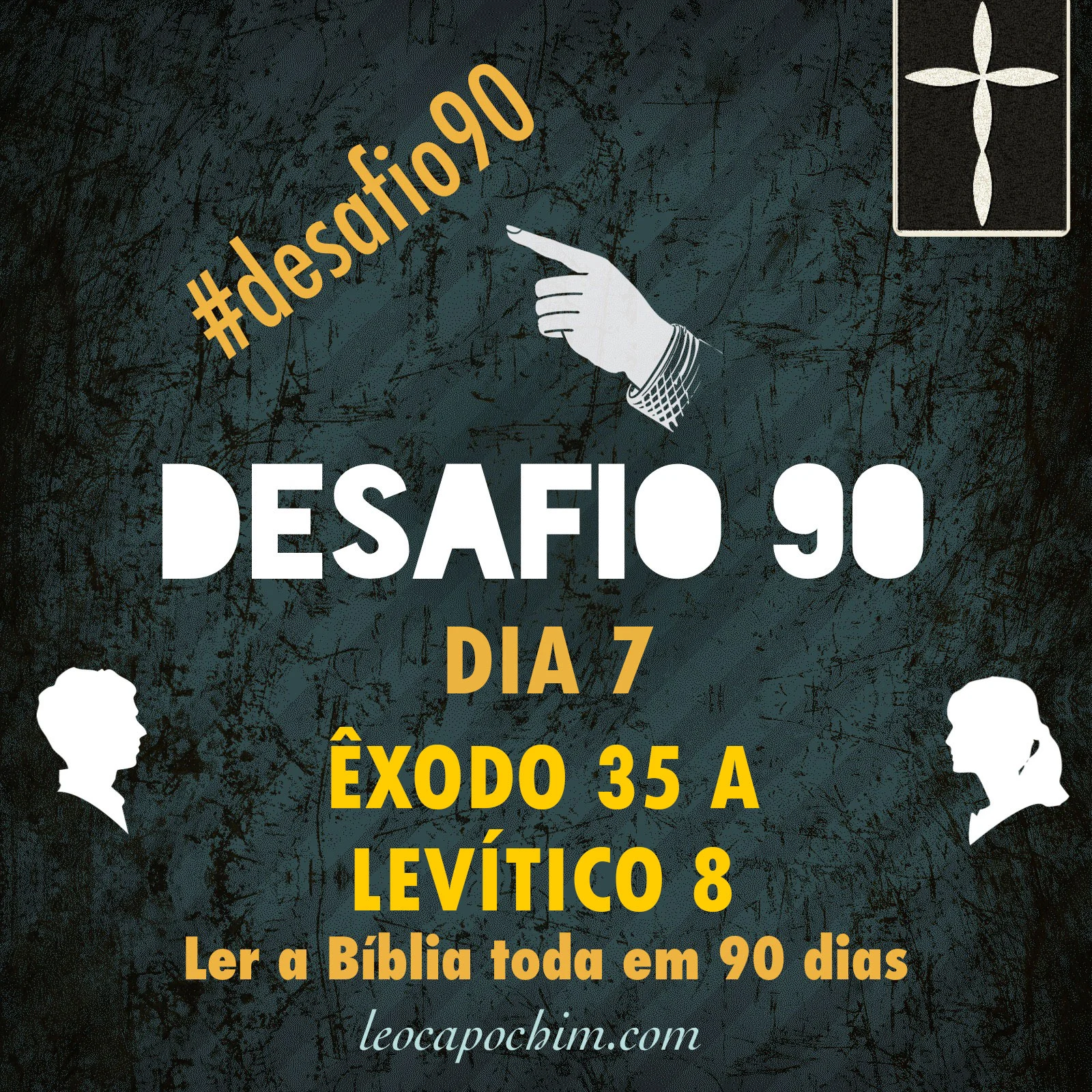 07.jpg