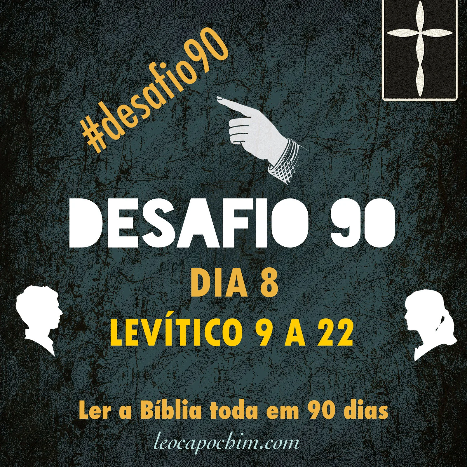 08.jpg