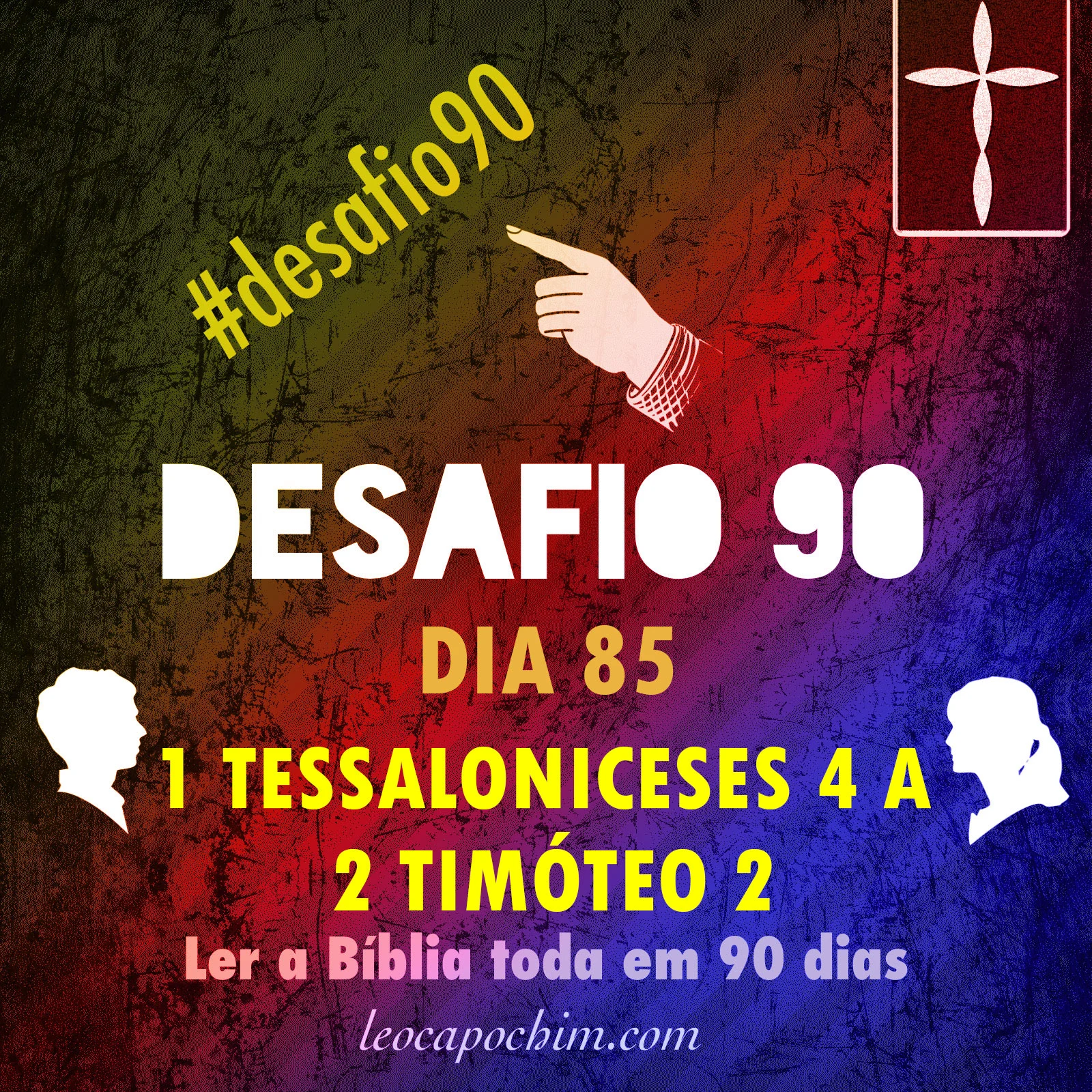 85.jpg
