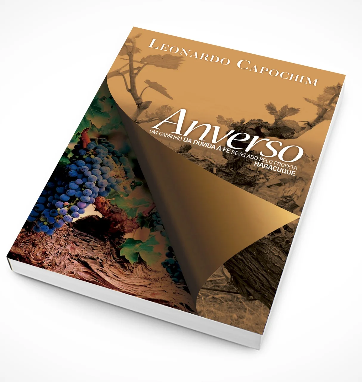 anverso_livro.jpeg