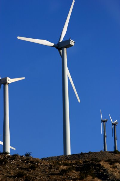100% of our studio's electricity is provided by renewable energy sources like wind, bio, and hydro.