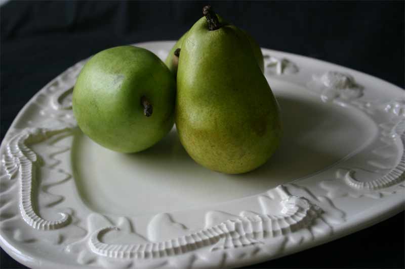 Seahorse & Starfish Platter with 2 pears