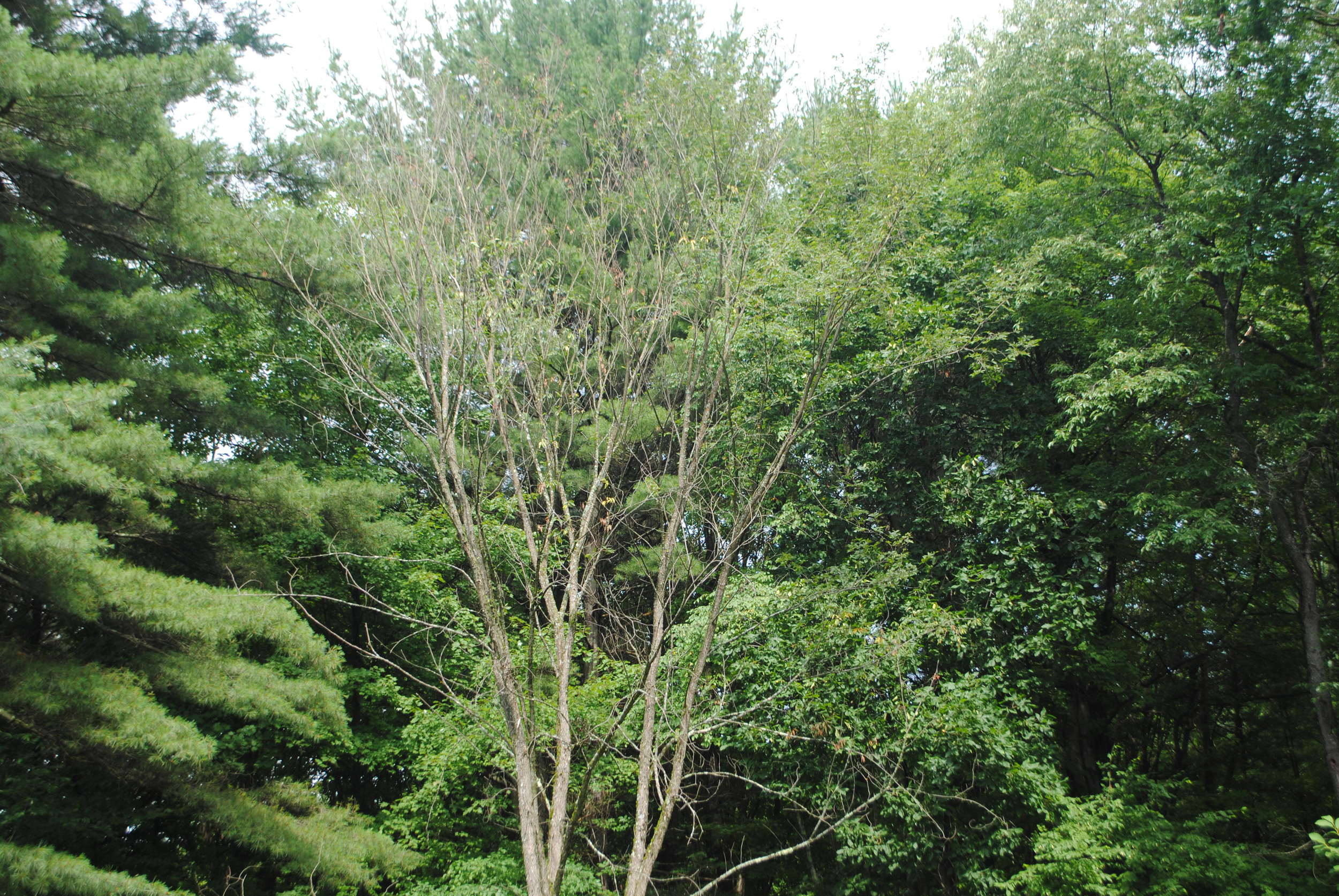DSC_0281.jpg