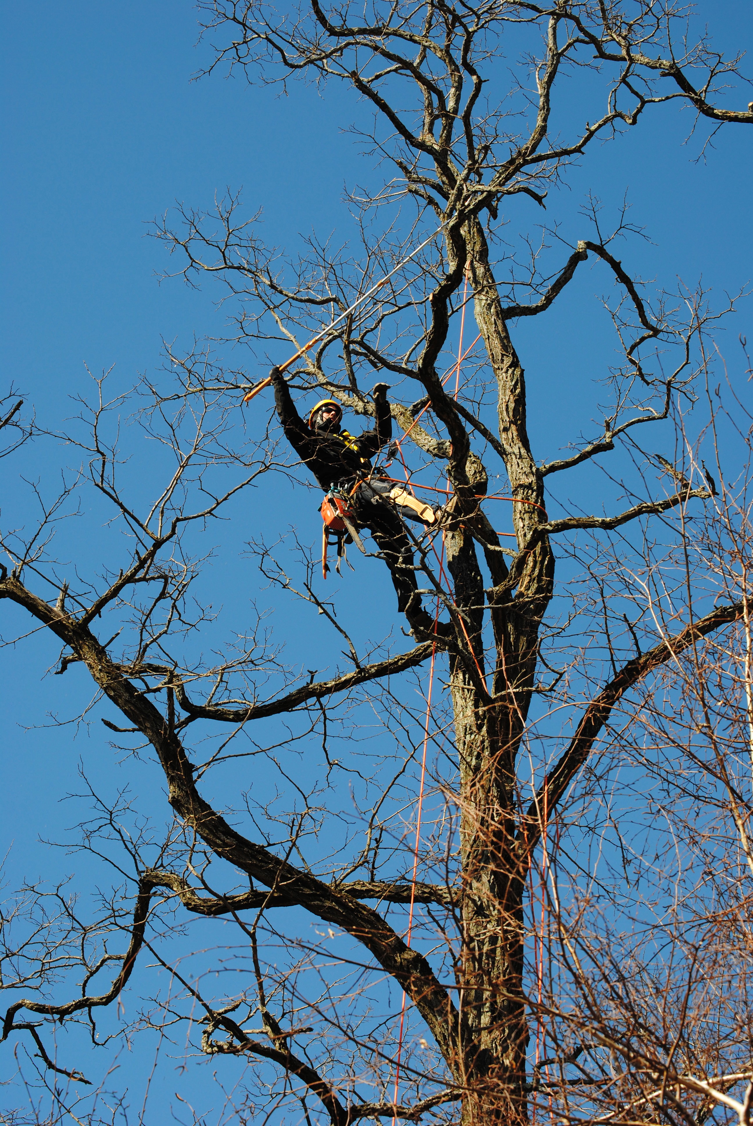DSC_0079.jpg
