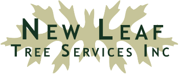 New Leaf Tree Services Logo.jpg