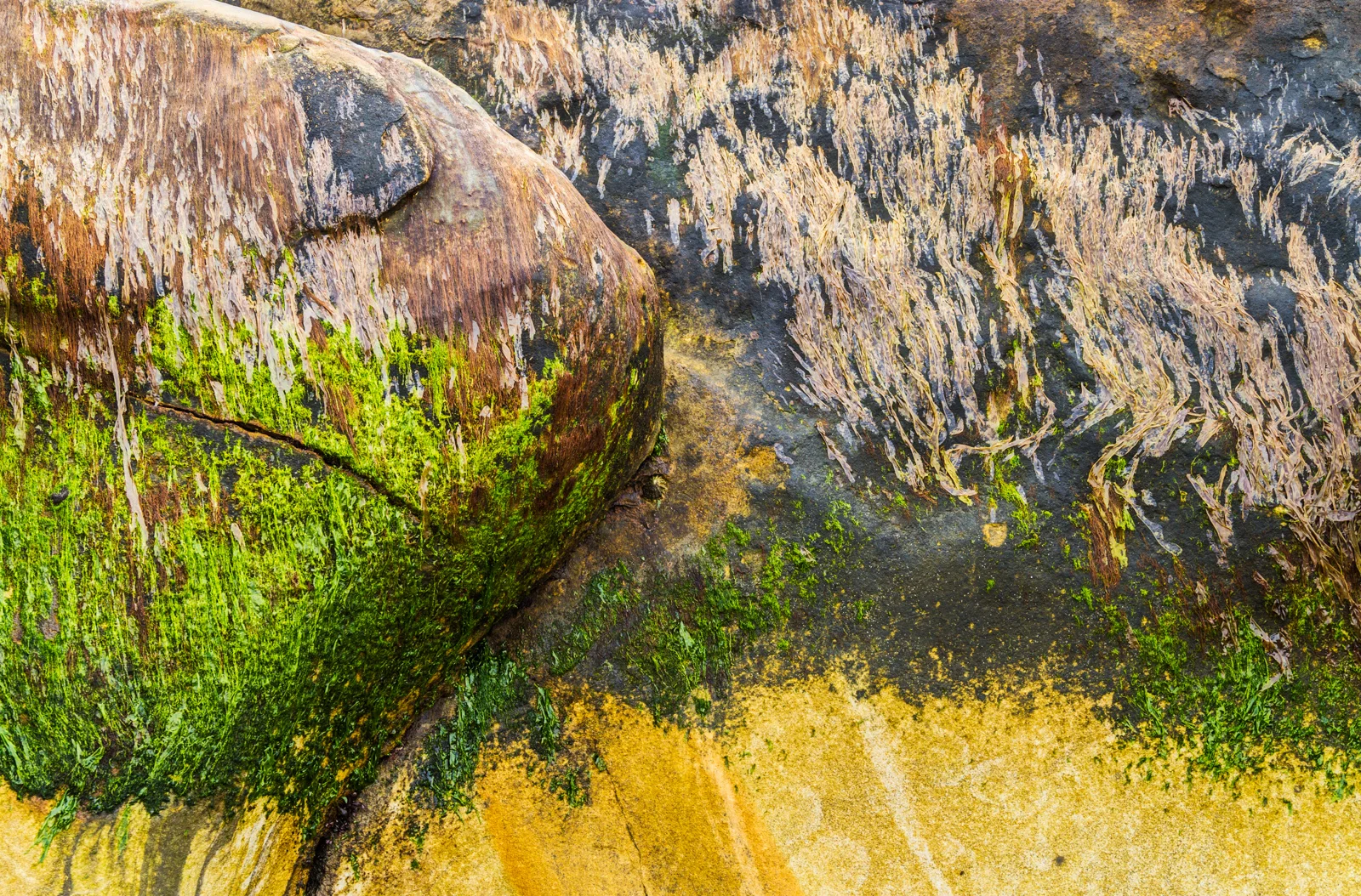 landscapes-11.jpg
