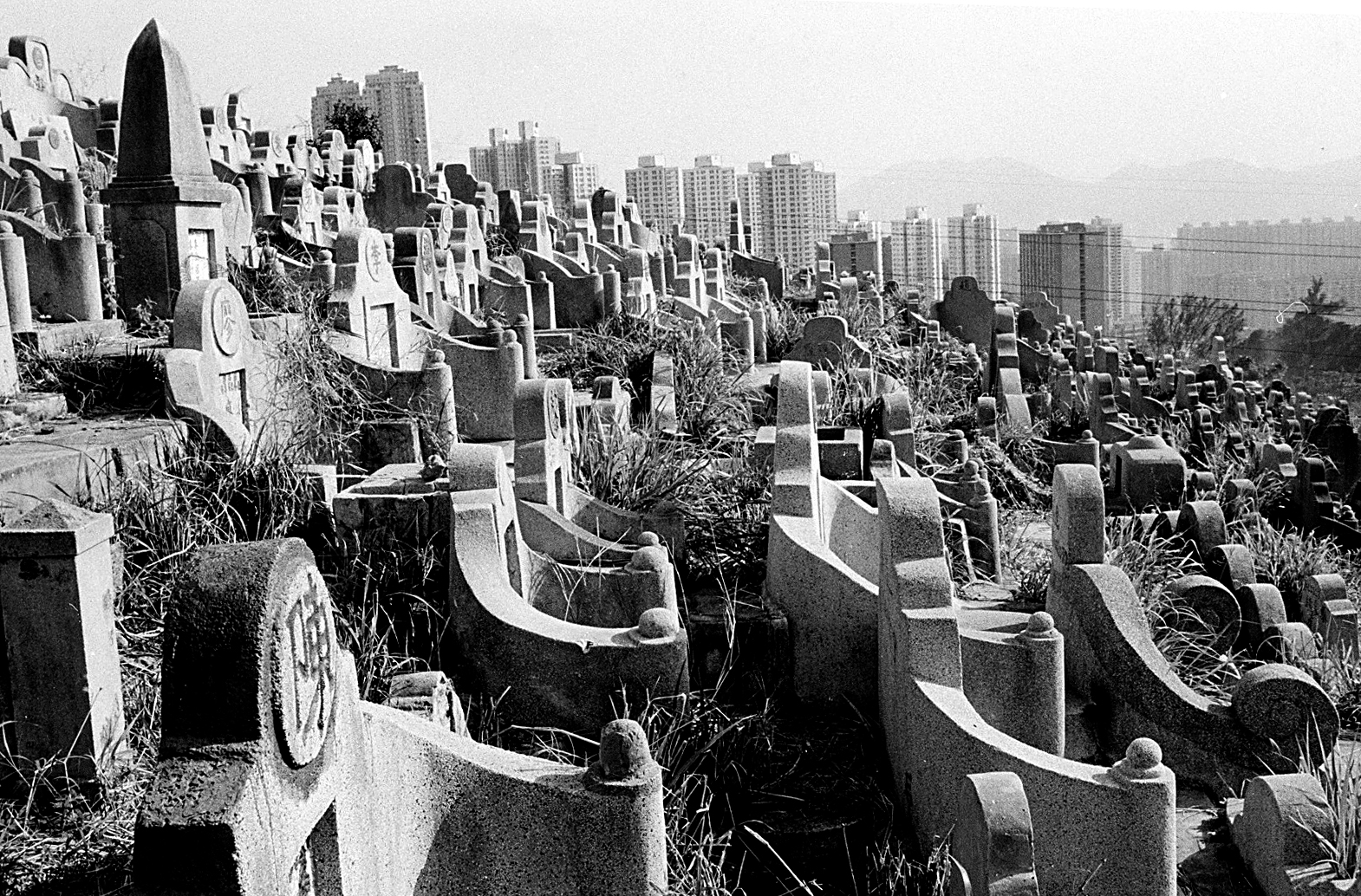 hk_cemetery_untitled_20130805.jpg