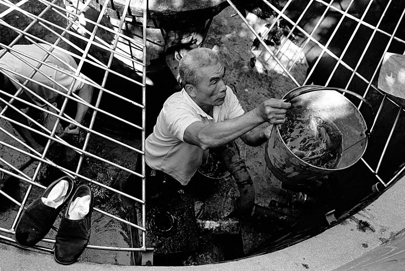 hk_turtles_untitled_20130805.jpg