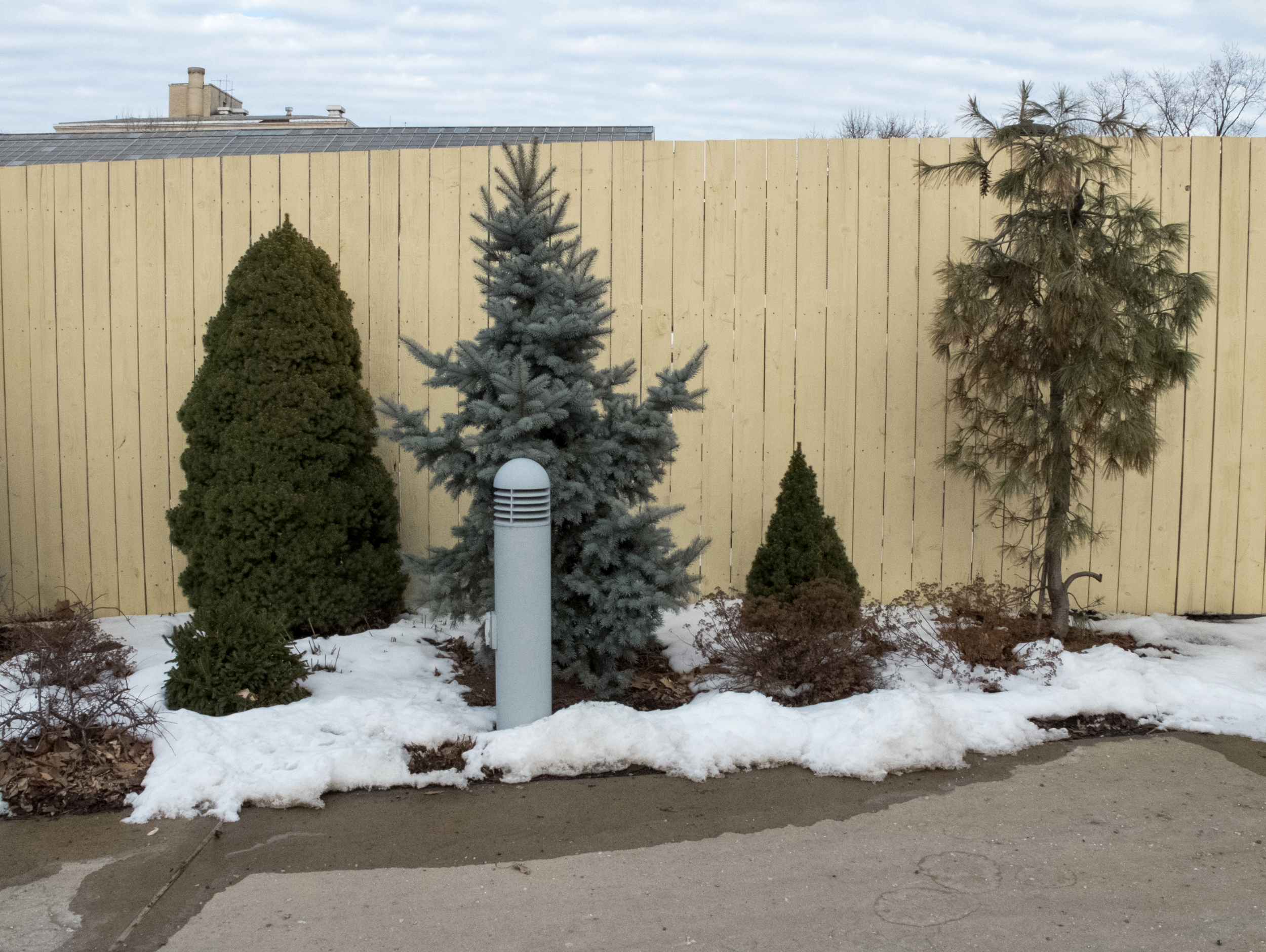 6772_pgh_trees_2015.jpg