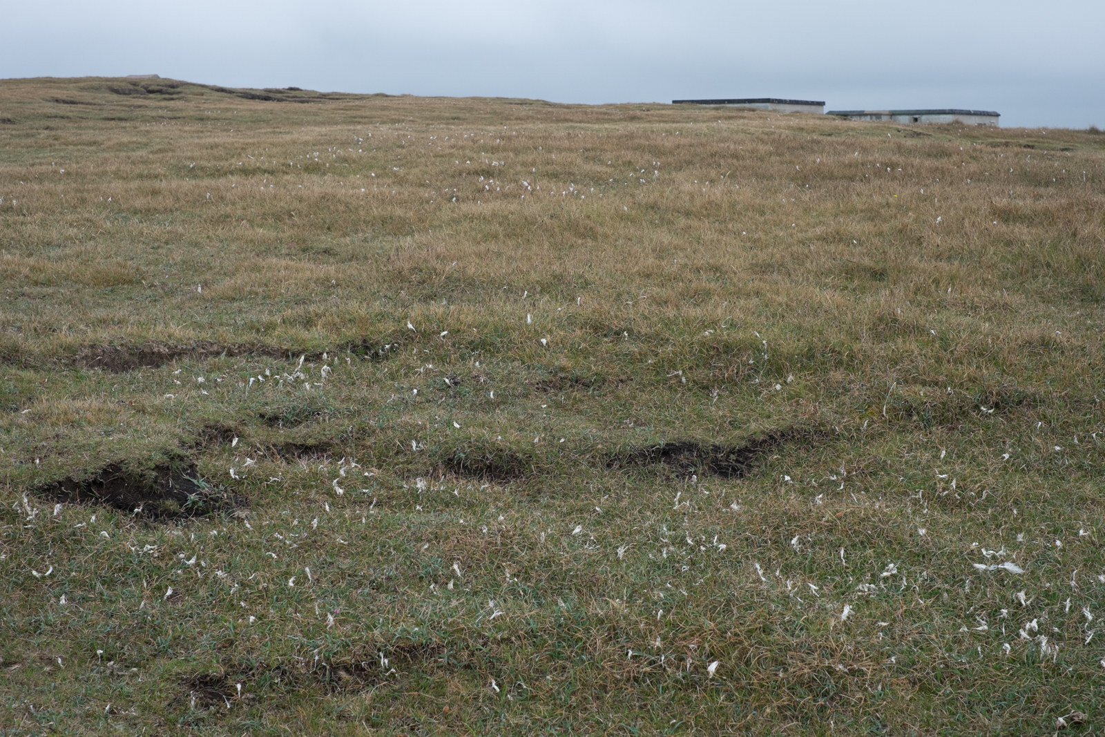 untitled-DSCF2570_hebrides_20160821.jpg