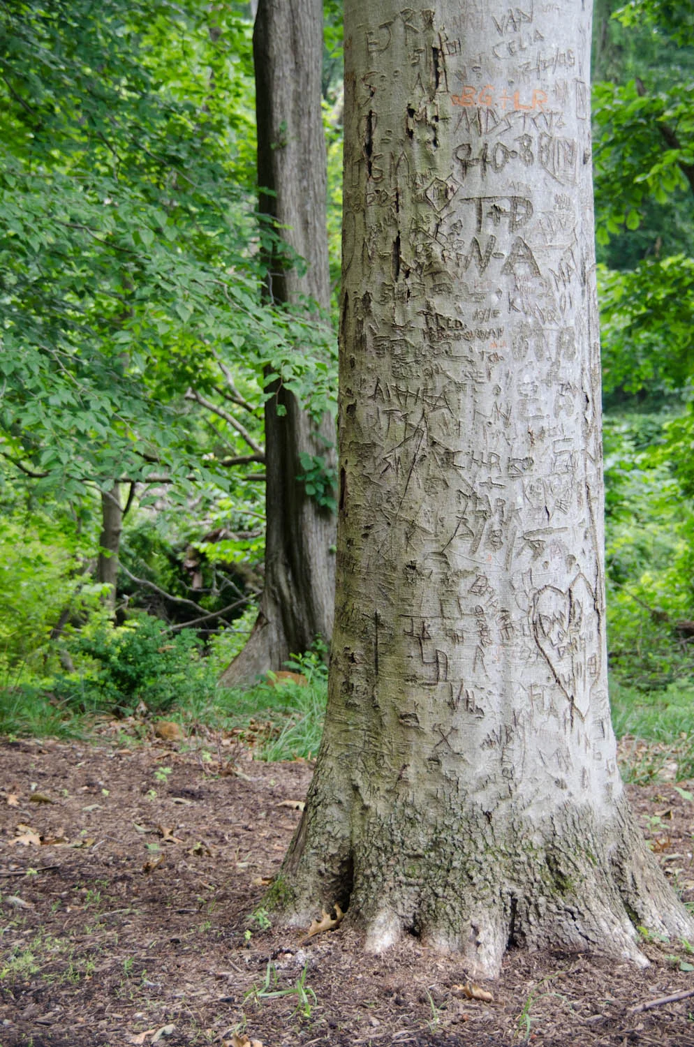 DSC_0261.jpg