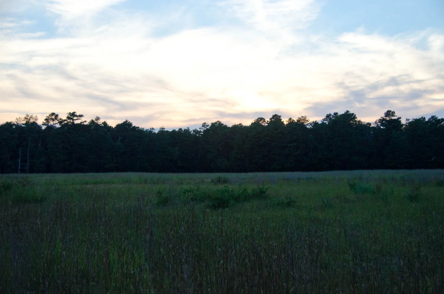 DSC_0378.jpg