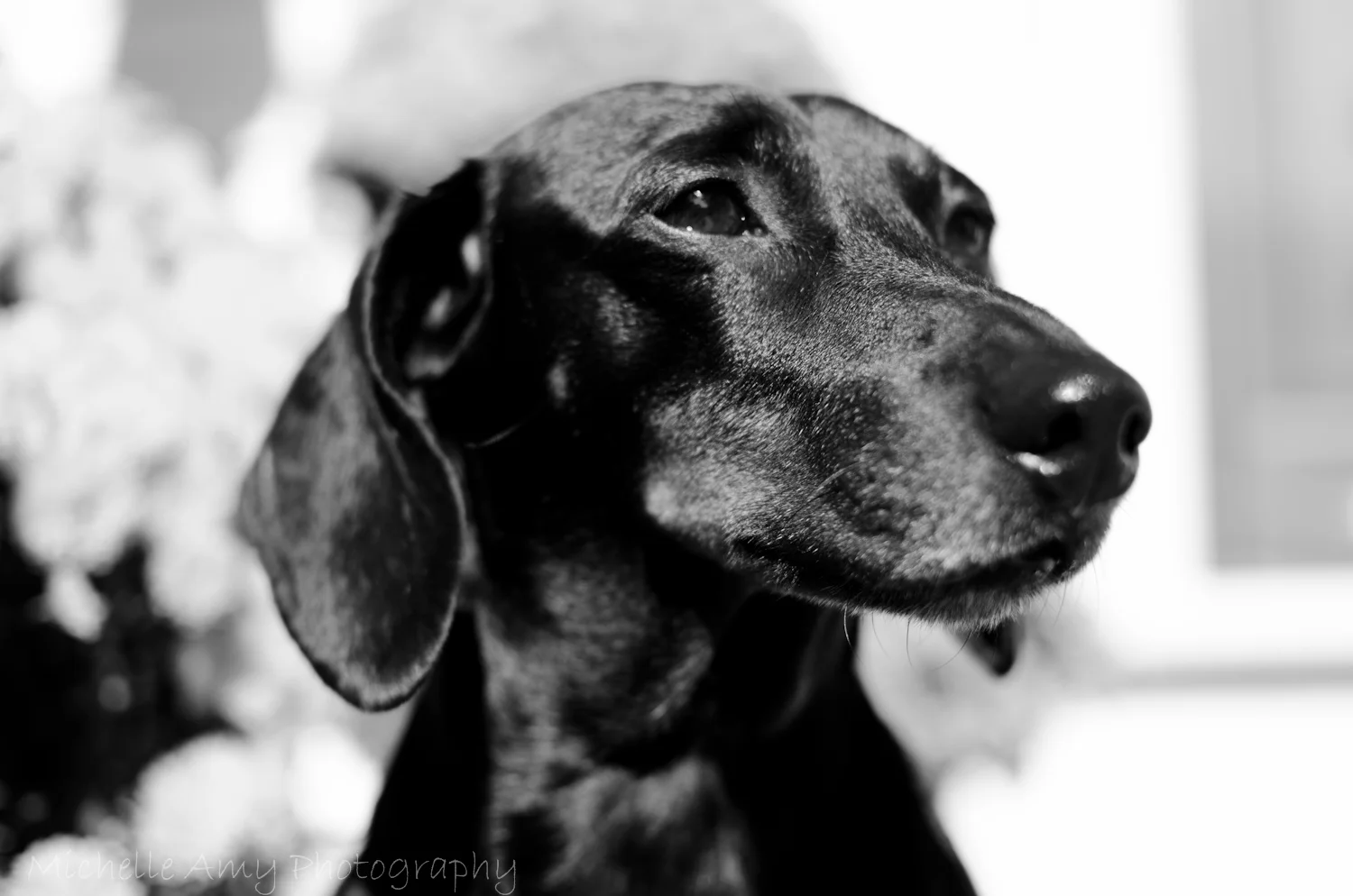 DSC_0044-2.jpg