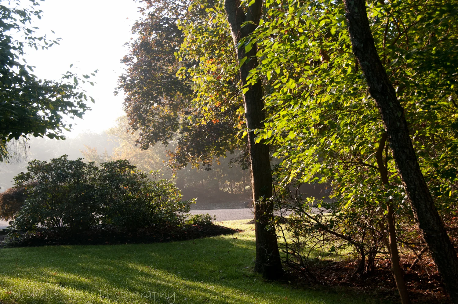 DSC_1667.jpg