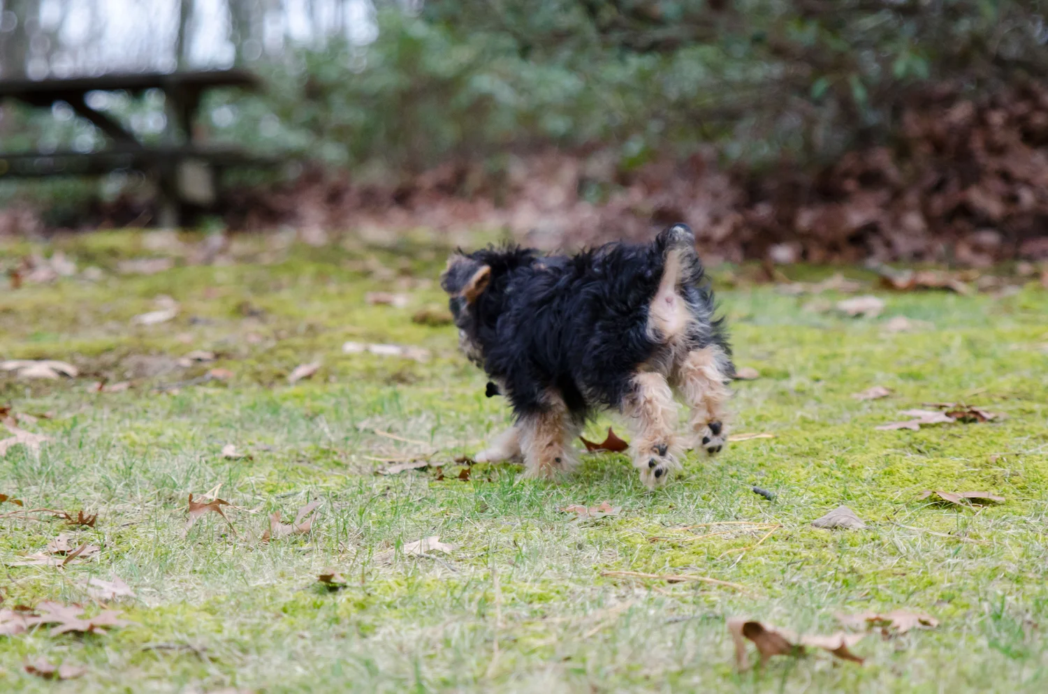 DSC_0061.jpg