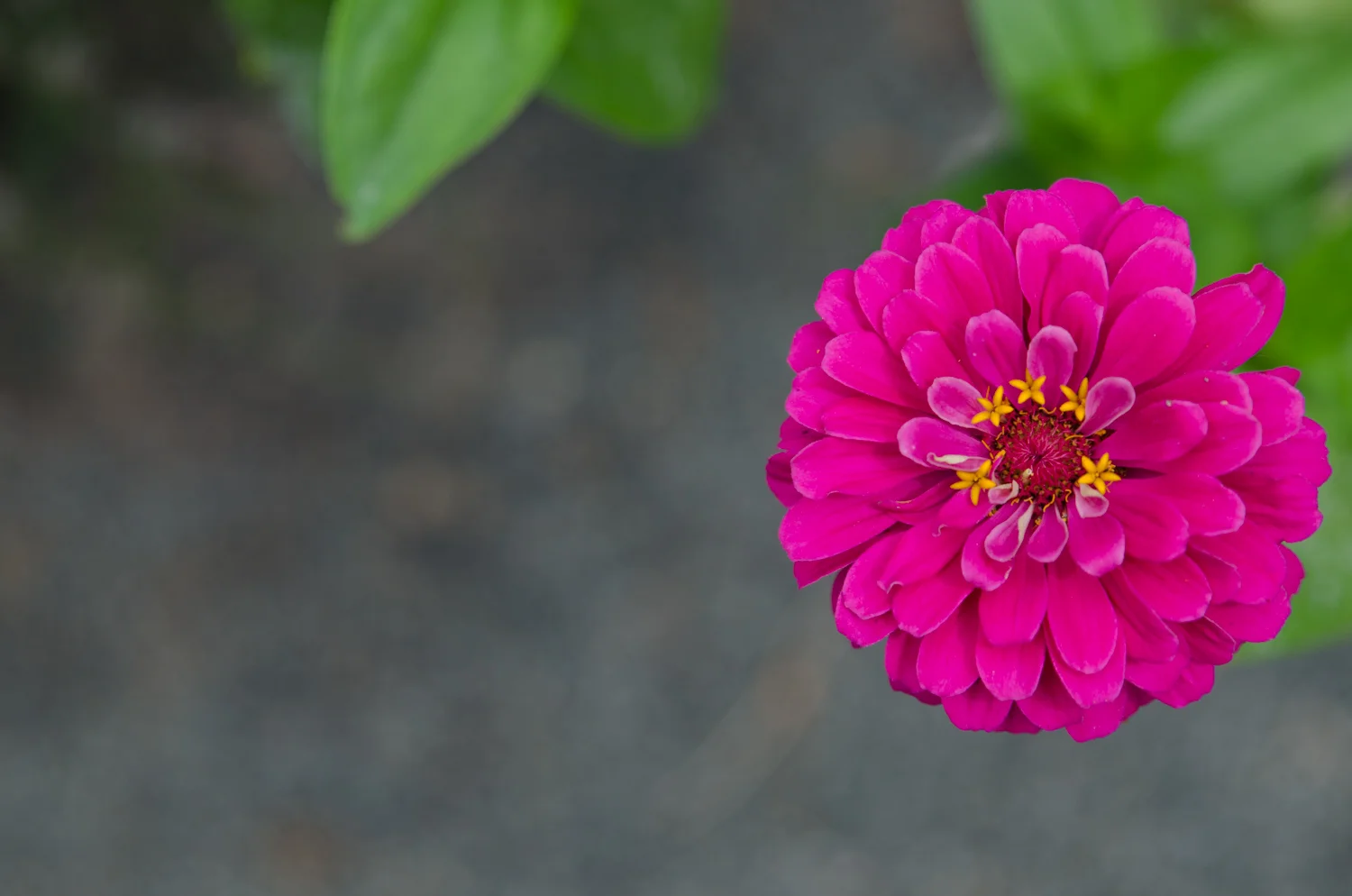 DSC_0235.jpg