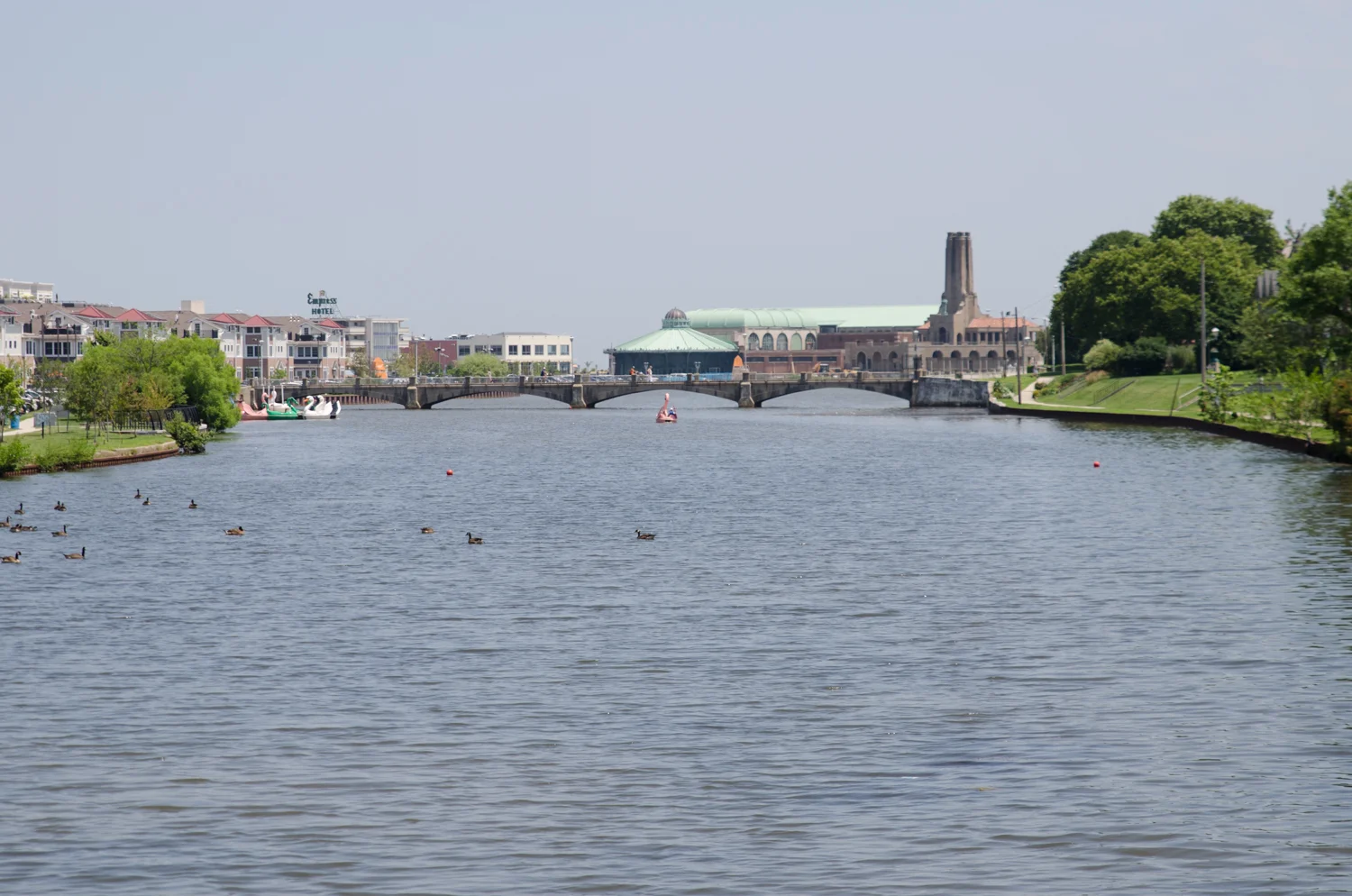 DSC_0242.jpg