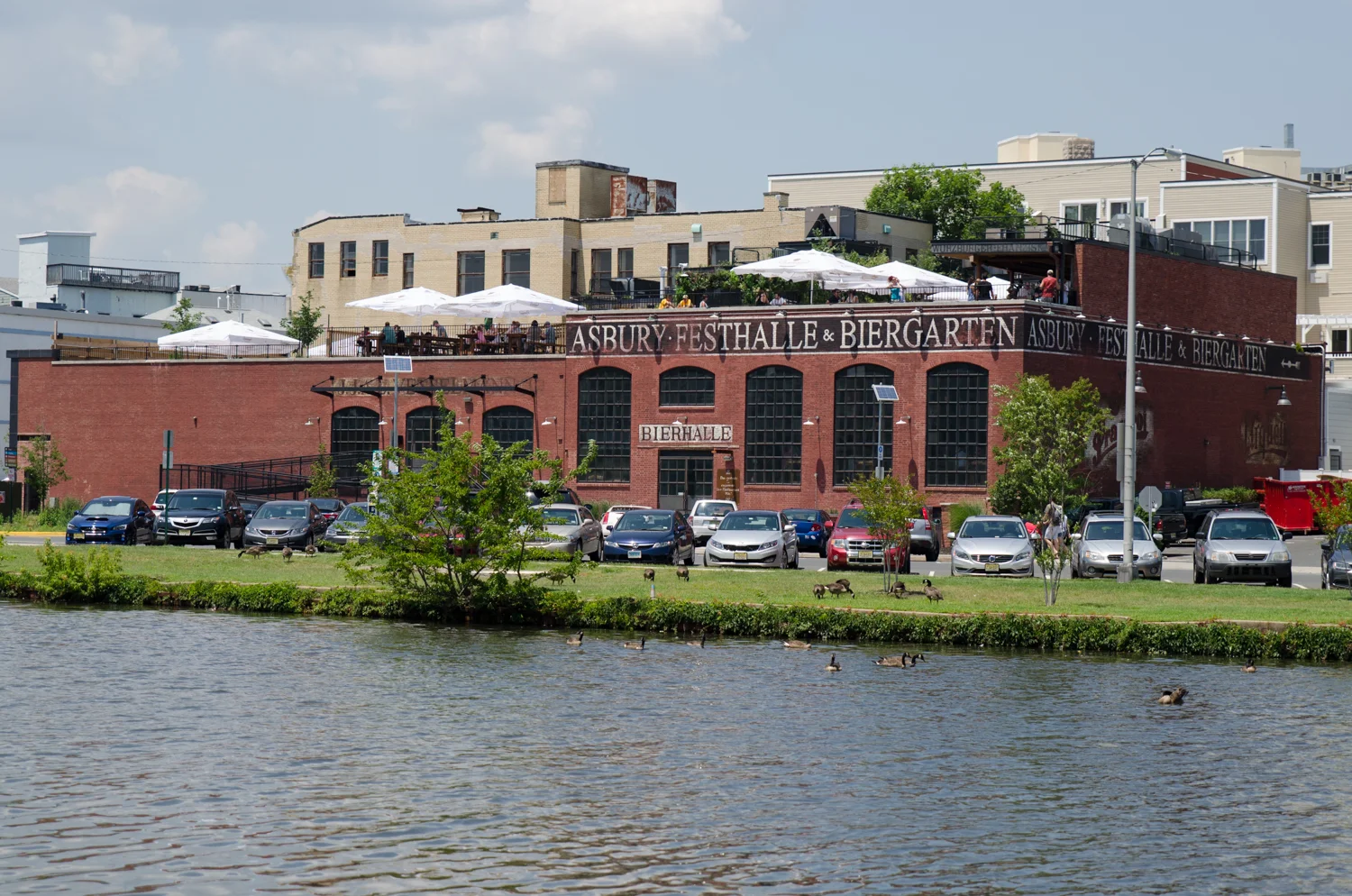 DSC_0244.jpg