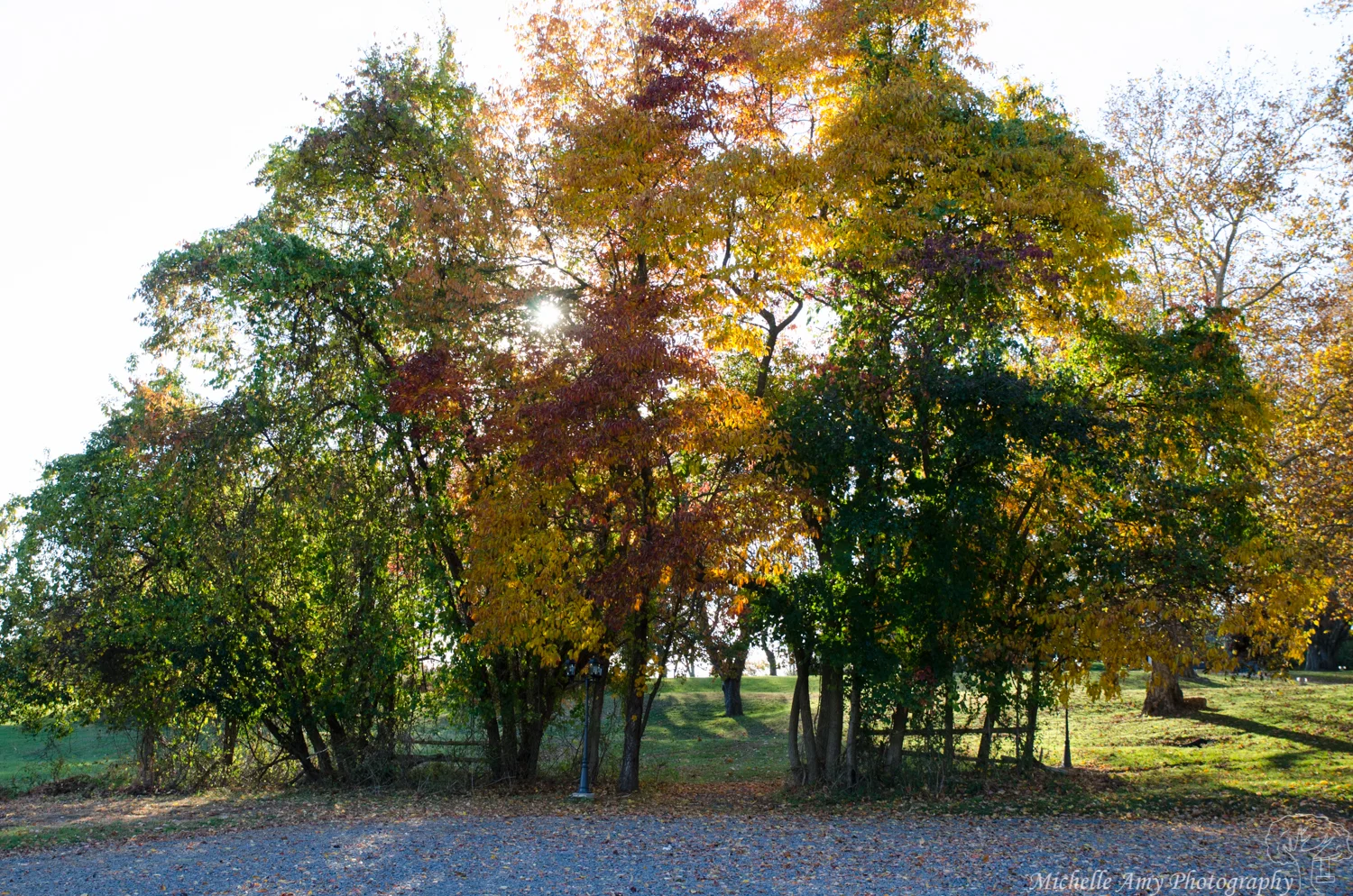 DSC_0659.jpg