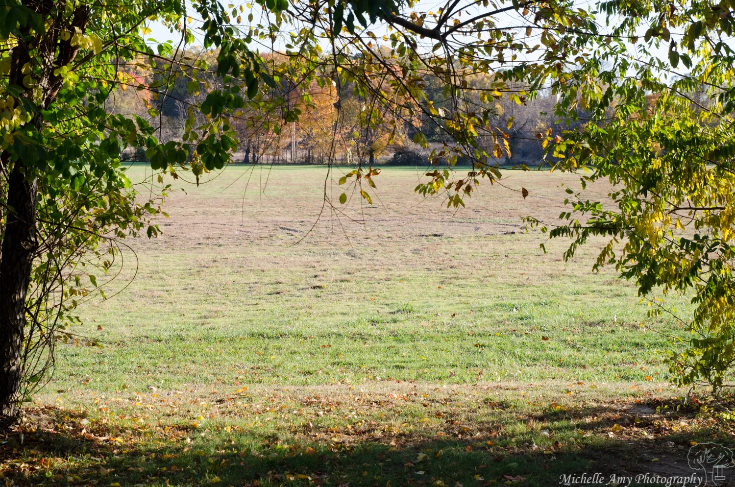DSC_0666.jpg