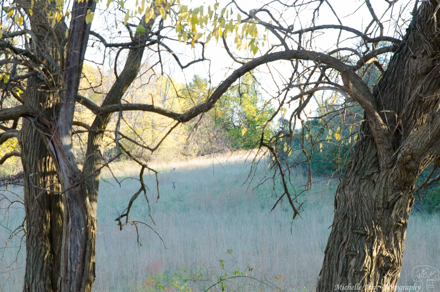 DSC_0722.jpg