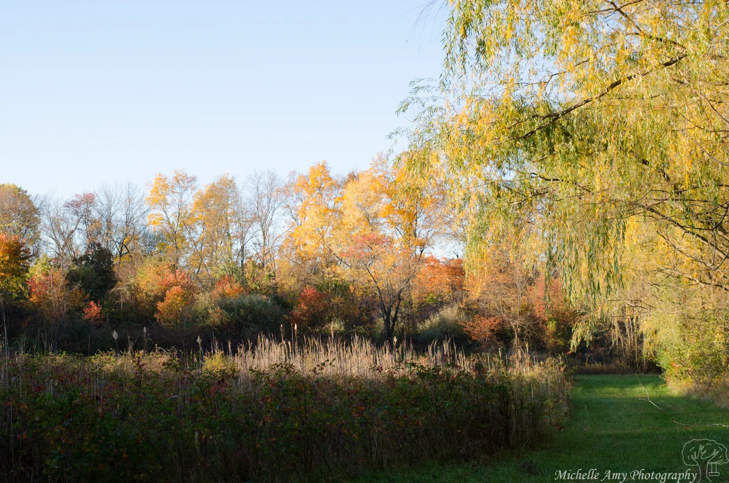 DSC_0794.jpg