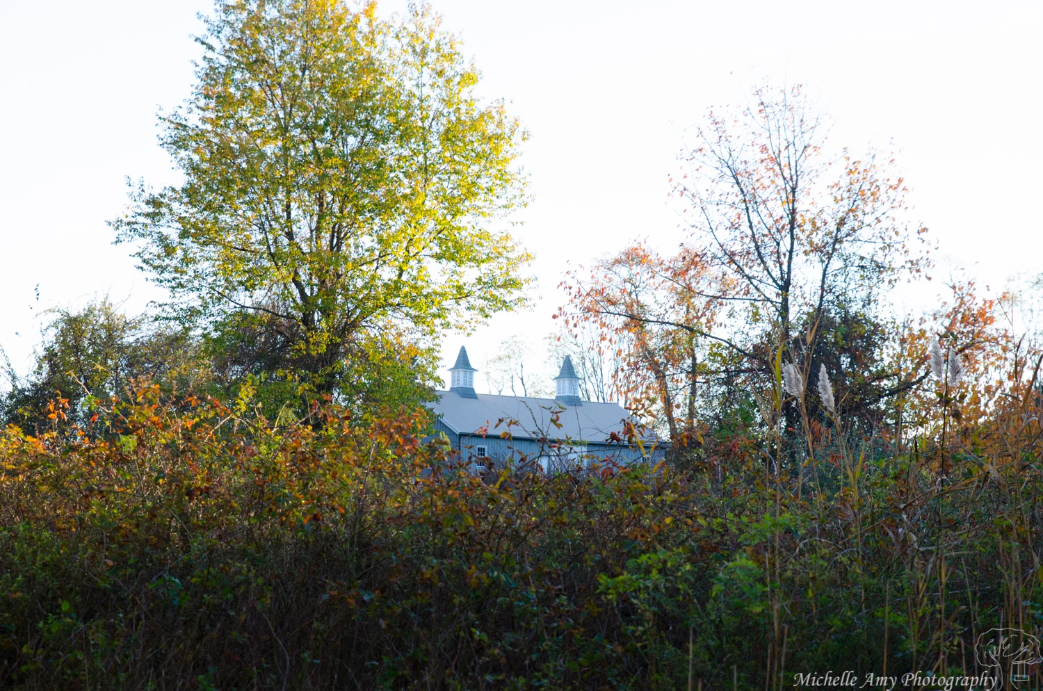 DSC_0795.jpg