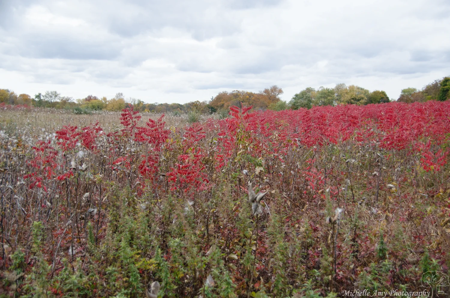 DSC_0553.jpg