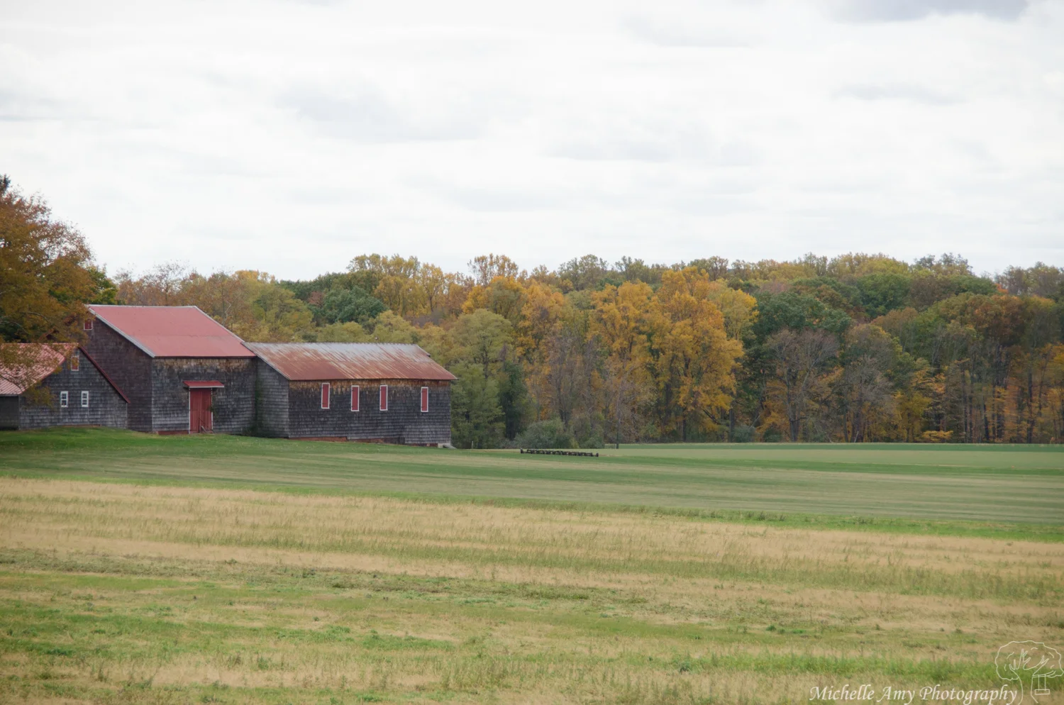 DSC_0555.jpg