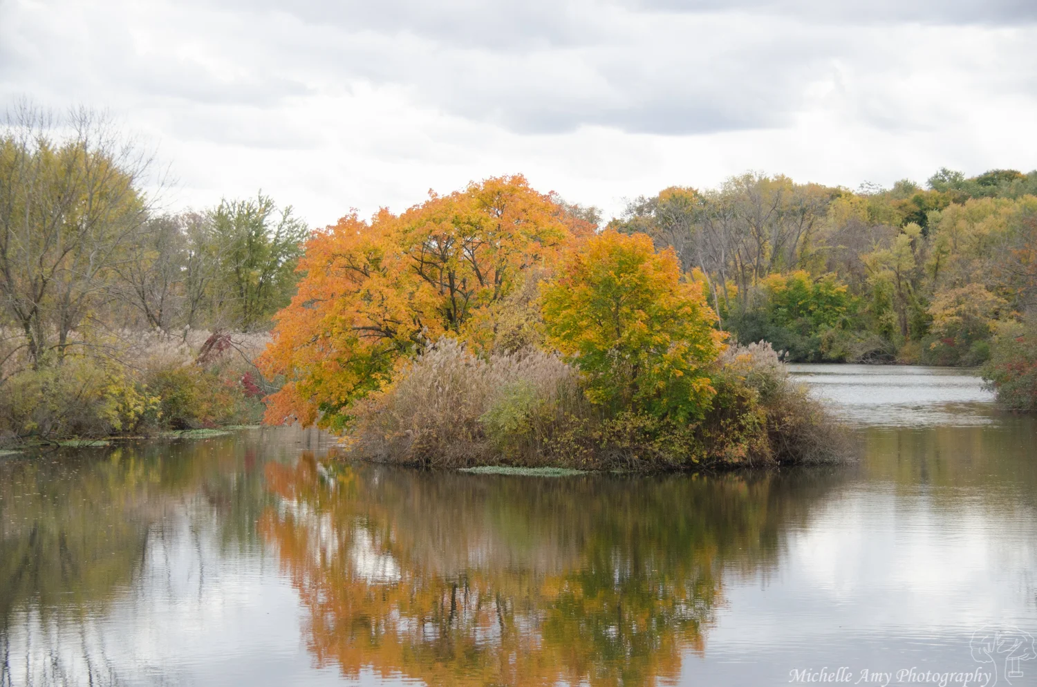 DSC_0561.jpg