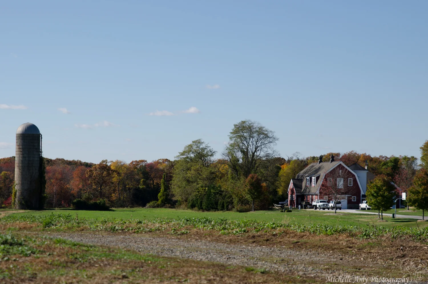 DSC_0630.jpg