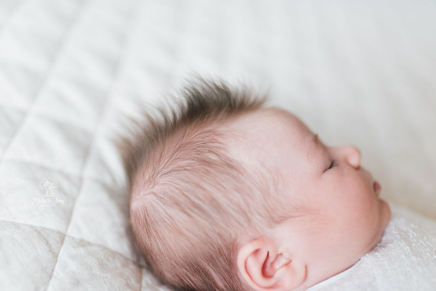 Copy of In-Home Newborn Session