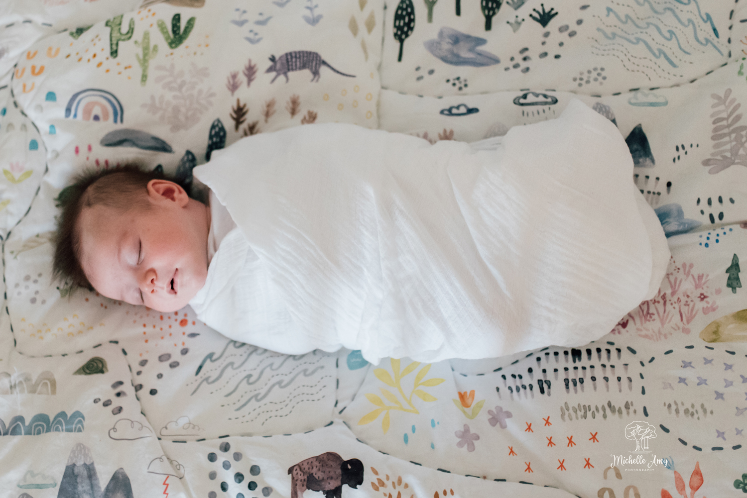 Copy of In-Home Newborn Session