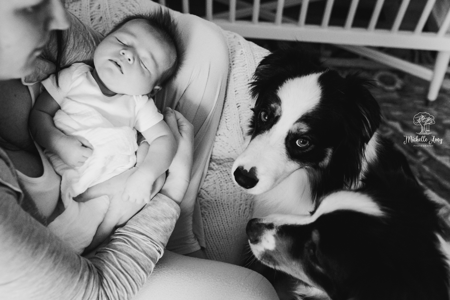 Copy of In-Home Lifestyle Newborn Session